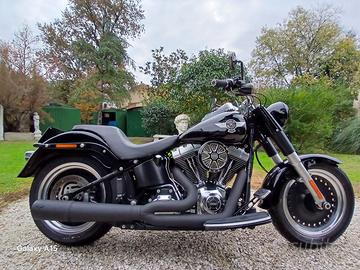 Harley davidson fat boy special