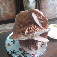 Rosa del deserto 23x23cm circa