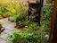 Immagine 23