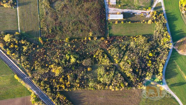 Terreni agricoli a San Giovanni al Natisone