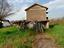 Immagine 30