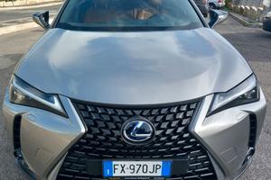 Lexus UX250U 4wd versione Luxury