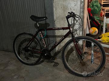 Bicicletta Genesis