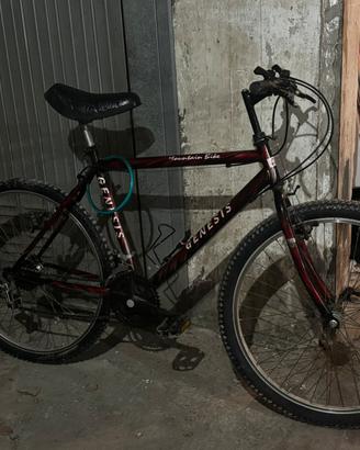 Bicicletta Genesis