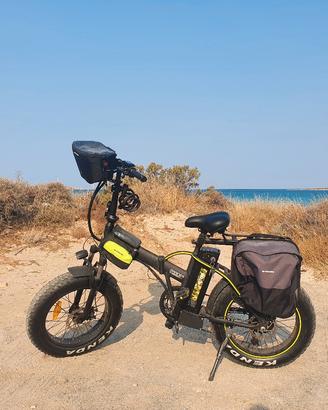 Bici elettrica fat bike Icone