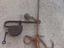 Immagine 3