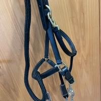 Cavezza cuoio con lunghina Shires