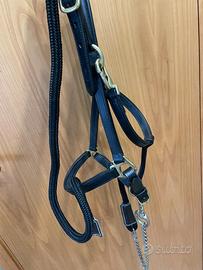 Cavezza cuoio con lunghina Shires