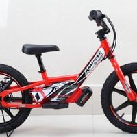 bicicletta elettrica bambini