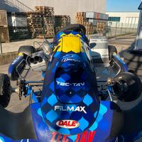 Go kart kz 125 motore tm r1