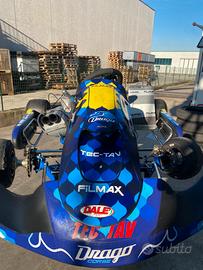 Go kart kz 125 motore tm r1