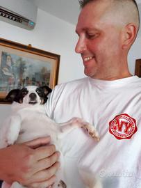 Elettricista operaio