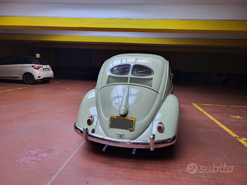 VW Maggiolino 2 vetrini