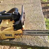 Motosega da Potatura Vigor 