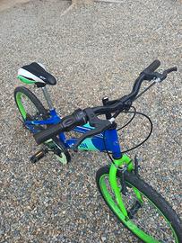 Bicicletta da bambino