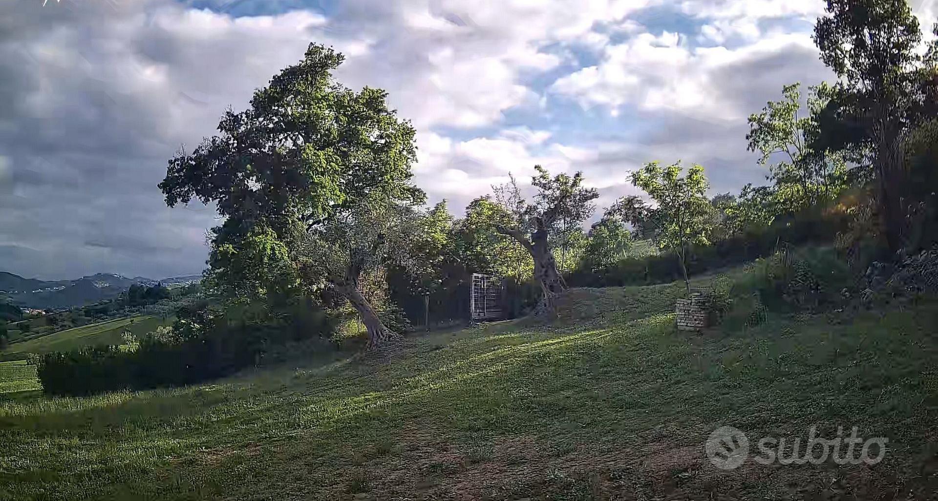 Terreno con rudere - Vista 2
