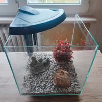 Newa More Reef 30 Acquario