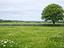 Immagine 9