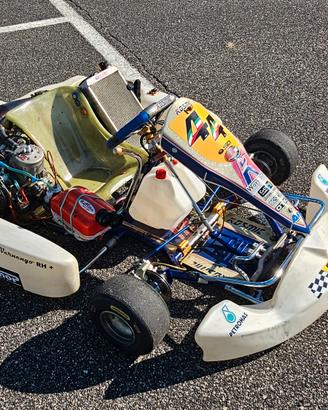Kart 125 telaio kosmic motore tm k9B