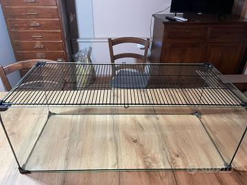 Terrario/gabbia