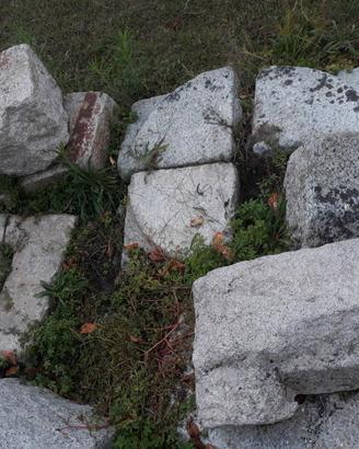 Granito e pietra antica