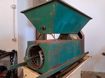 Diraspatrice carolla