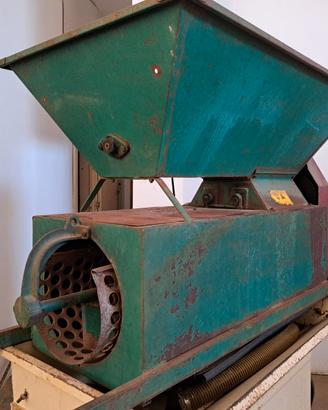 Diraspatrice carolla