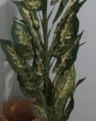 pianta finta 