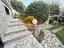 Immagine 13