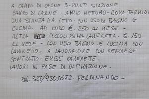 Piccolo appartamento