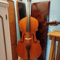 contrabbasso liuteria