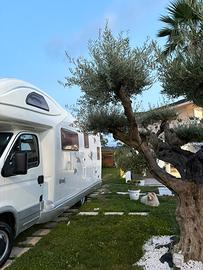 Camper iveco Graal Z650 Giottiiline