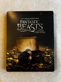 Animali Fantastici Steelbook Blu-ray FC ITA