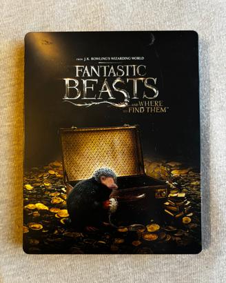 Animali Fantastici Steelbook Blu-ray FC ITA