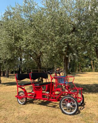 Risciò a pedali 6 posti + seggiolino bambini