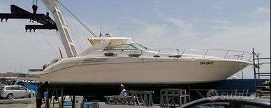 Sea Ray Sundancer 16m linea d'asse