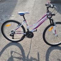 Biciletta dimensione 24
