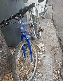 Bici rush