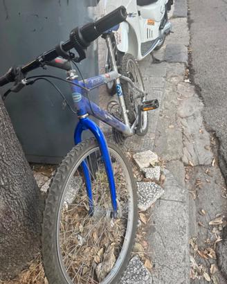 Bici rush