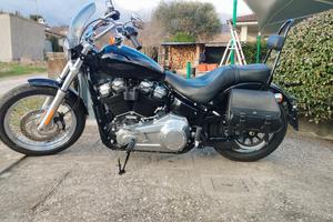 Harley Davidson softail standard 