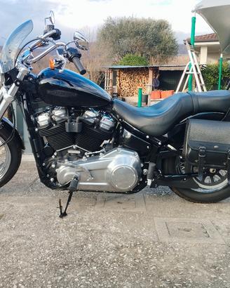 Harley Davidson softail standard 