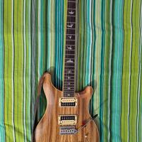 PRS SE Custom 24 Zebrawood (con upgrade)