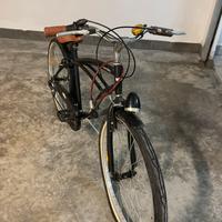 Bici limited edition capri casa modena