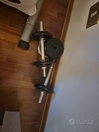 pesi per braccia bicipiti