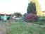 Immagine 23