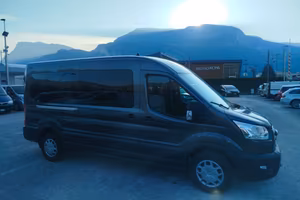 Ford Transit 350 2.0TDCi EcoBlue MHEV 170CV PL-TM 