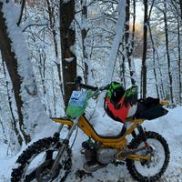 Califfo rizzato 65 polini preparato Monferraglia