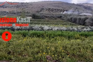 Terreno di 17638 m² a San Felice a Cancello
