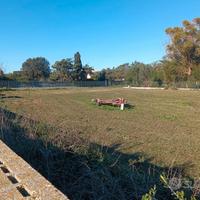 Terreno recintato agricolo