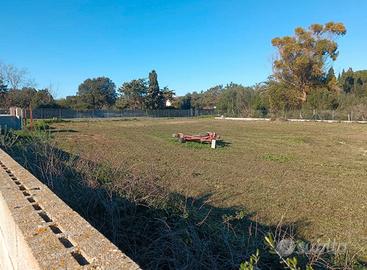 Terreno recintato agricolo